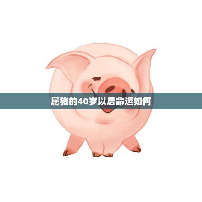 属猪的40岁以后命运如何(探究财富、事业、家庭、健康等方面的发展趋势)