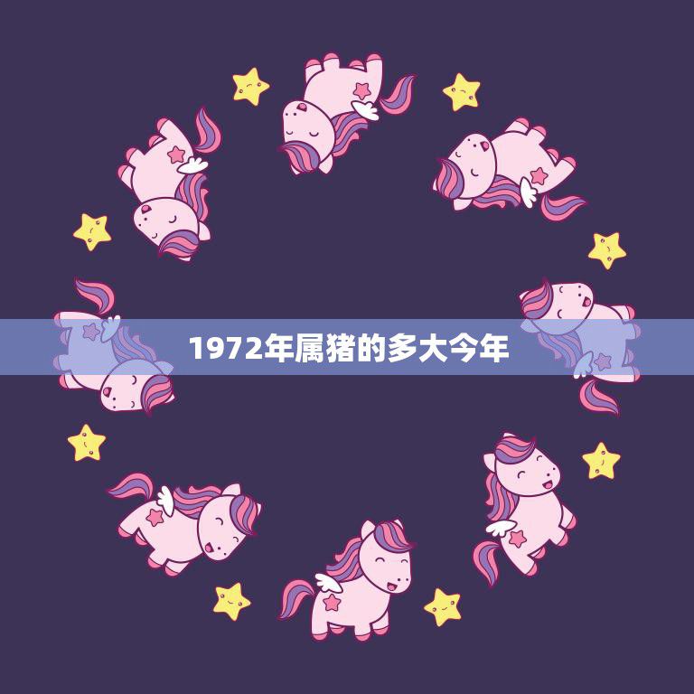 1972年属猪的多大今年(猪年大运来猪宝宝迎来五十岁)