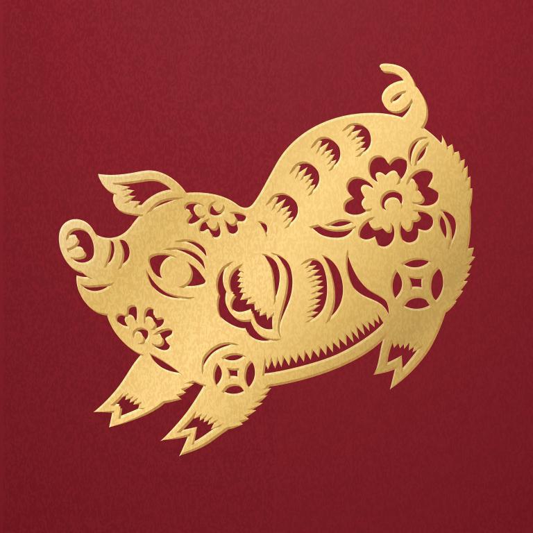 今年属猪的应该是多大年龄(猪年生肖年龄表快来查看你的年龄吧)