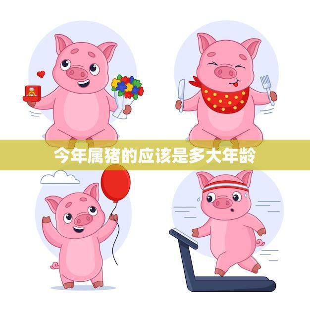 今年属猪的应该是多大年龄(猪年生肖年龄表快来查看你的年龄吧)
