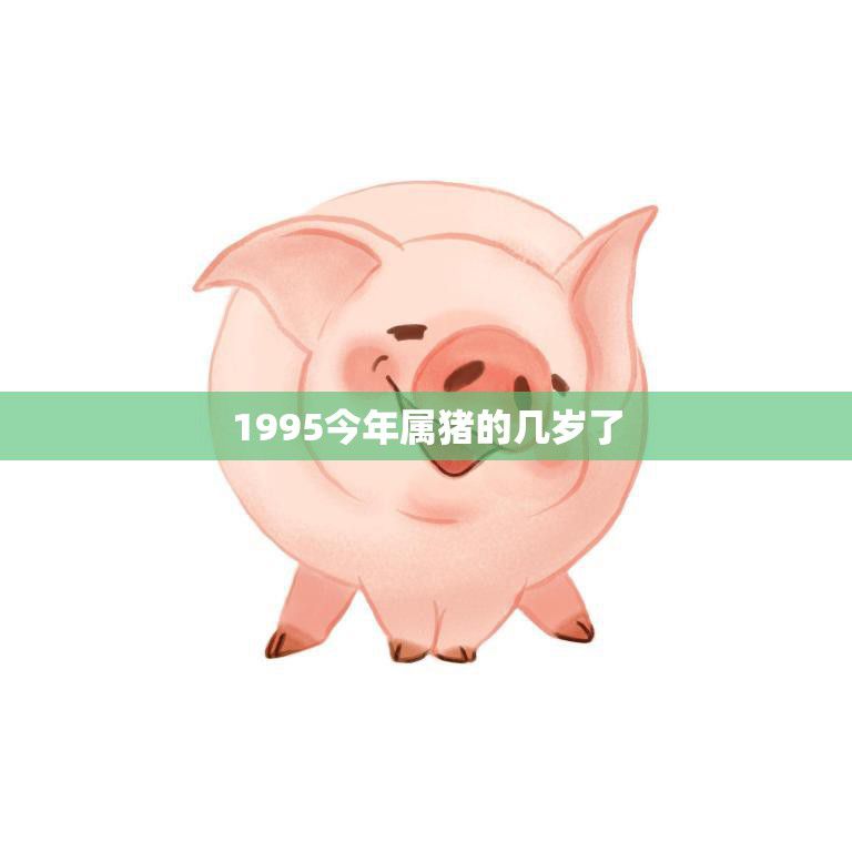1995今年属猪的几岁了(猪年迎来25岁回顾过去展望未来)