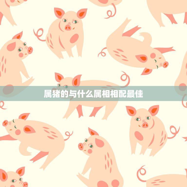 属猪的与什么属相相配最佳(最佳配对大揭秘)