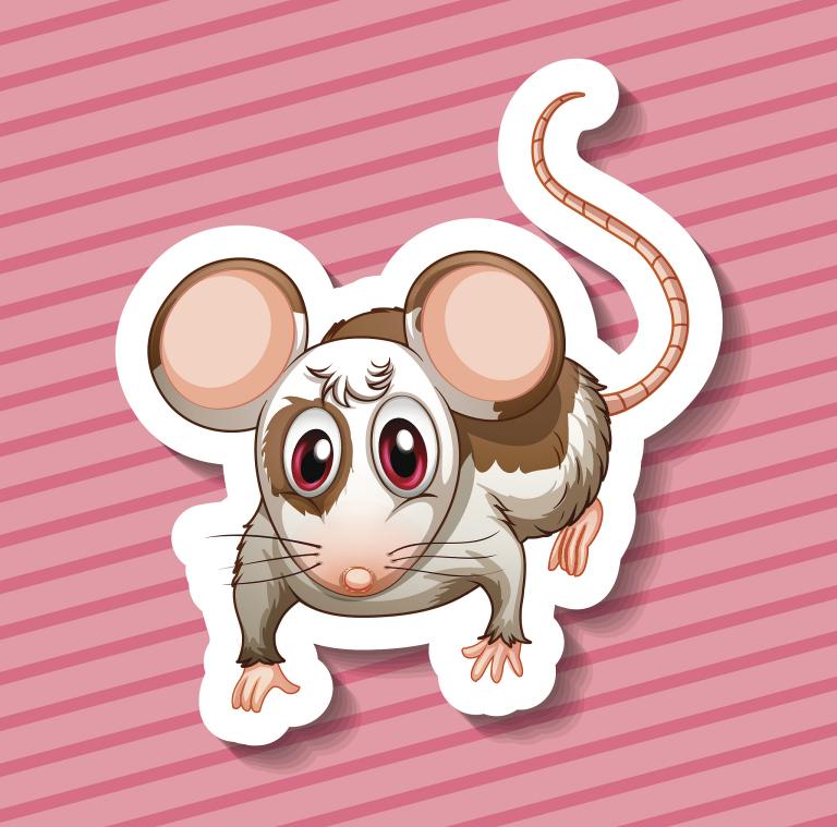 72年鼠今年财运怎么样(2023年财运大揭秘)