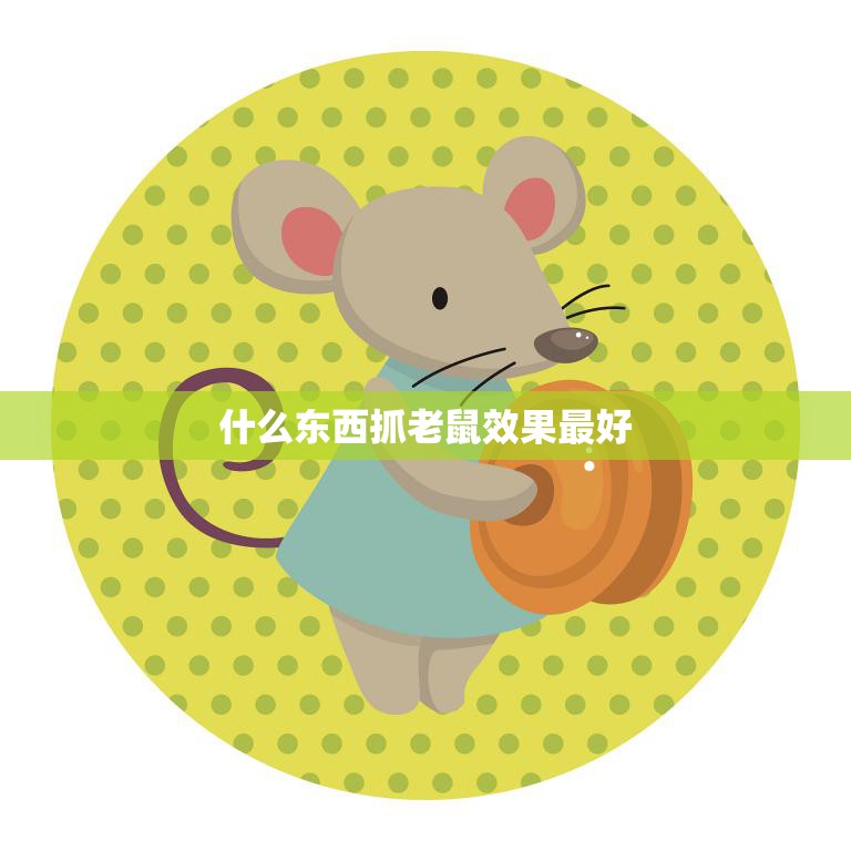 什么东西抓老鼠效果最好(探究最有效的老鼠陷阱方法)