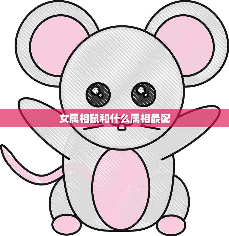 女属相鼠和什么属相最配(寻找最佳配对)