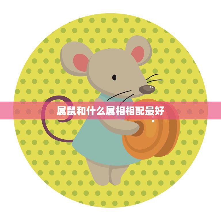 属鼠和什么属相相配最好(最佳配对大揭秘)