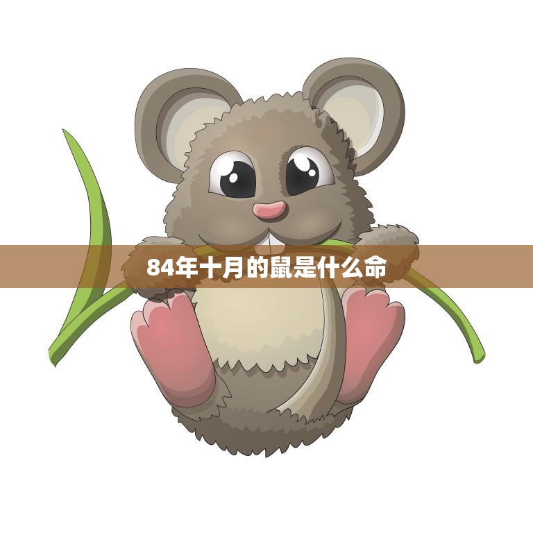 84年十月的鼠是什么命(解读十月出生的鼠年人命运)