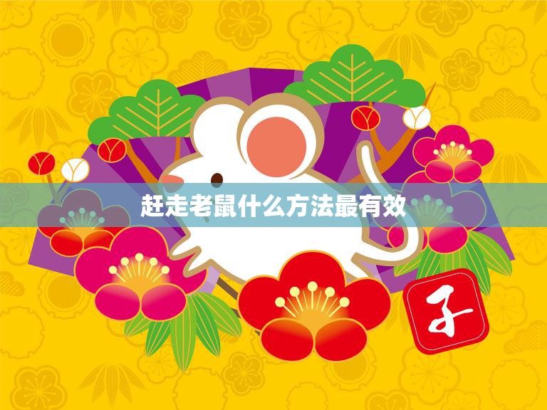 赶走老鼠什么方法最有效(快速有效的老鼠驱赶技巧)