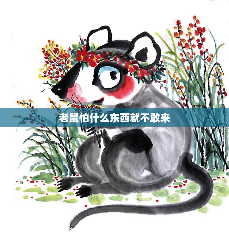 老鼠怕什么东西就不敢来(揭秘老鼠的恐惧源头)