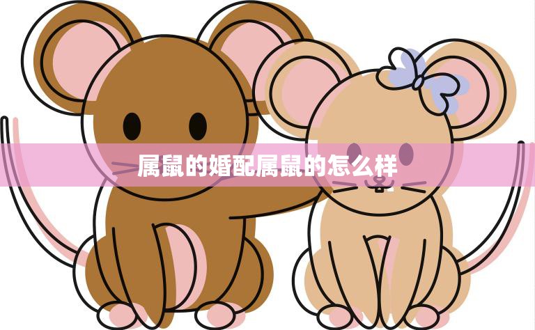属鼠的婚配属鼠的怎么样(如何避免婚姻危机)