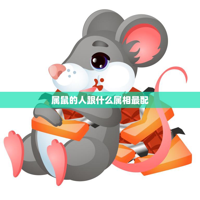 属鼠的人跟什么属相最配(最佳配对大揭秘)