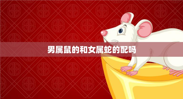 男属鼠的和女属蛇的配吗(八字合不合)