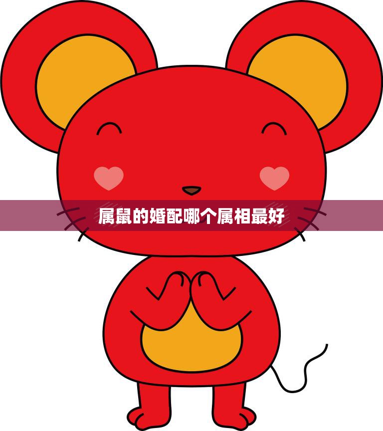 属鼠的婚配哪个属相最好(解析十二生肖婚配最佳搭档揭秘)