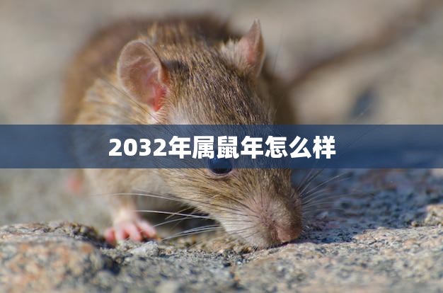 2032年属鼠年怎么样(瑞气盈门财源滚滚)