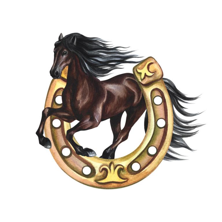 78年马女今日财运(走向财富巅峰的秘诀)