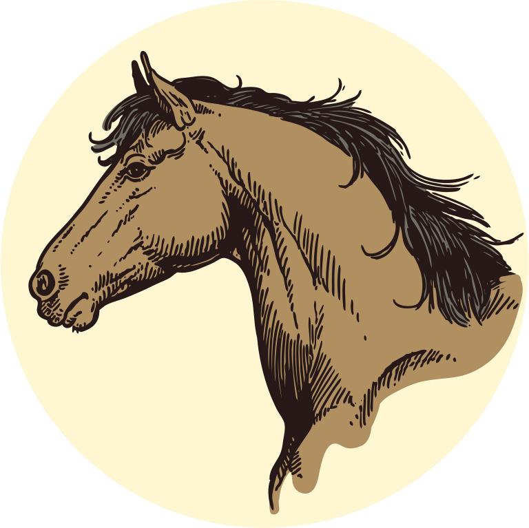 78年马女今日财运(走向财富巅峰的秘诀)