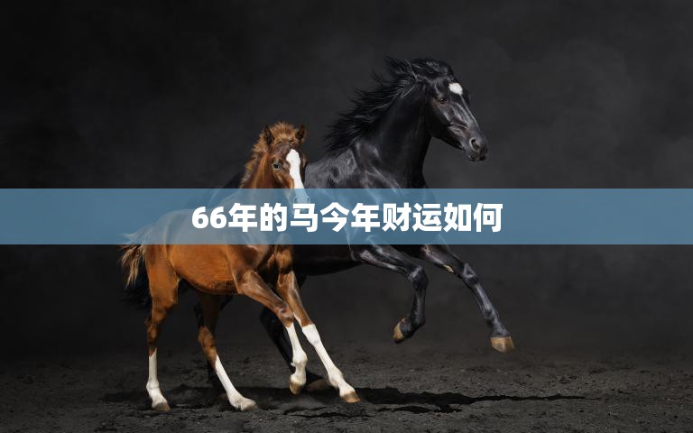 66年的马今年财运如何(2023年财运大揭秘马儿们要注意什么)