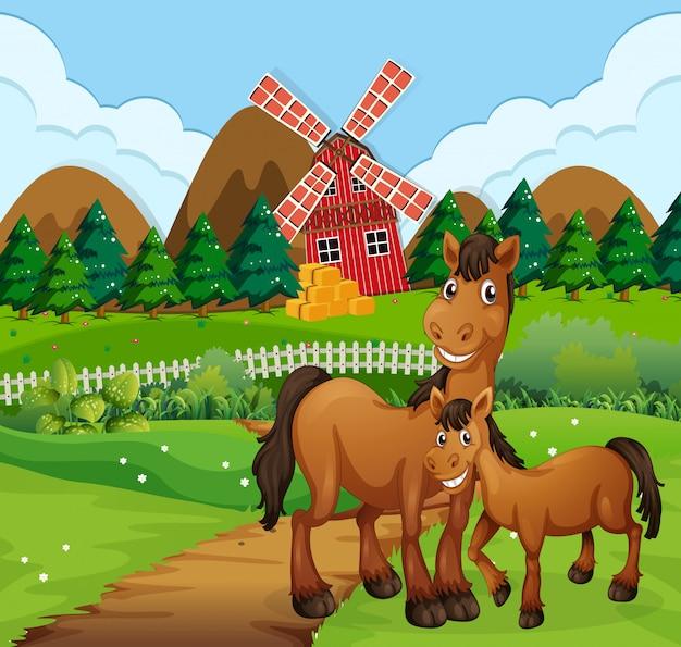 1966年的马今年财运(翻身机会来了财源滚滚来)