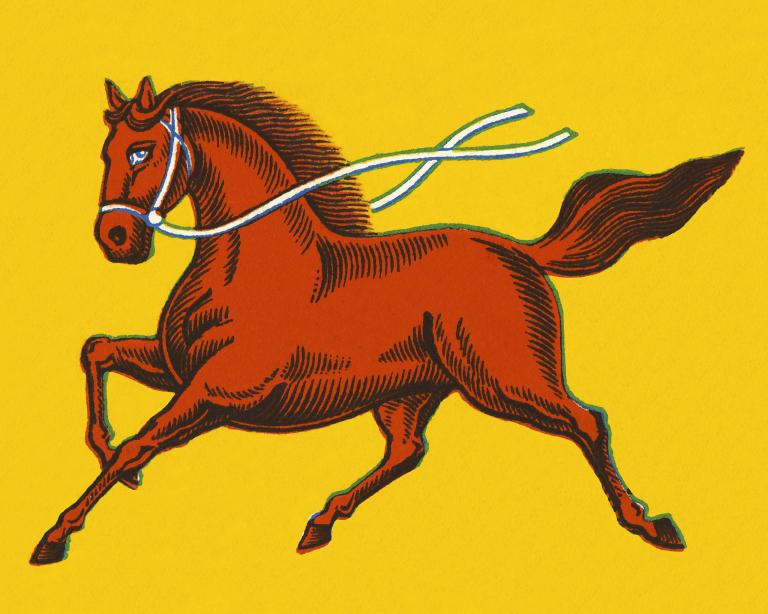 属马人今年每月运势如何(2023年属马人的月运势大揭秘)