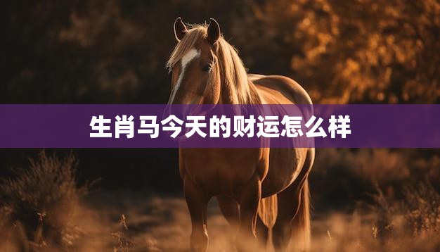 生肖马今天的财运怎么样(财运亨通财源滚滚来)