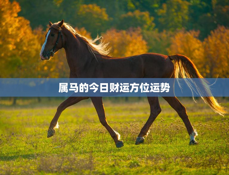 属马的今日财运方位运势(财运亨通财位助力)