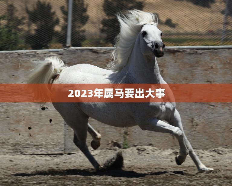 2023年属马要出大事(马年大变局)