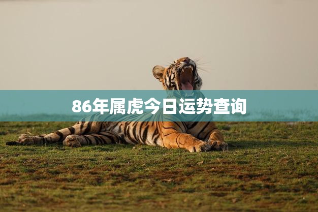 86年属虎今日运势查询(幸运之星照耀财运亨通)