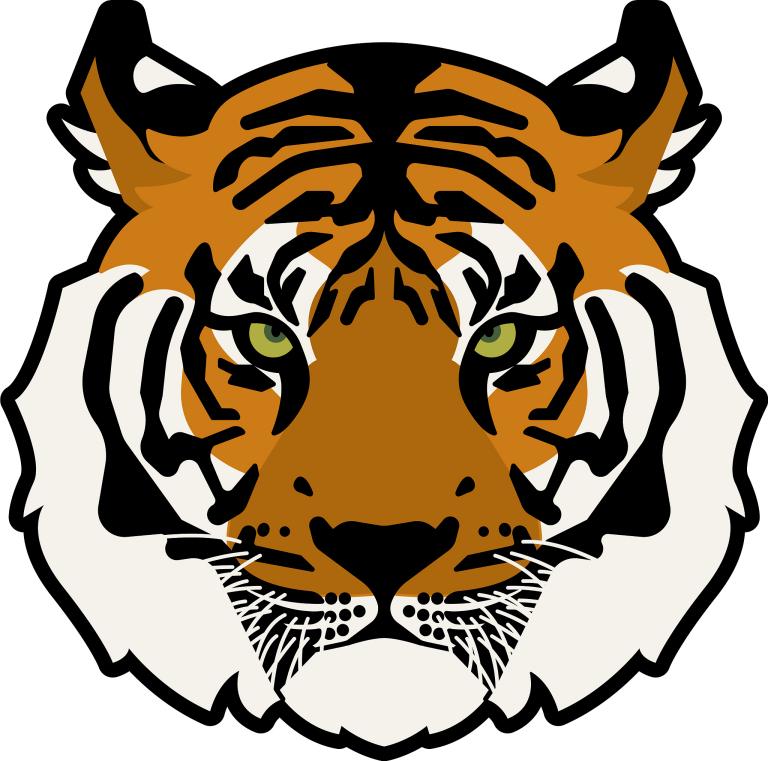 属虎人今日运程每日运势(如何抓住机遇迎接挑战)