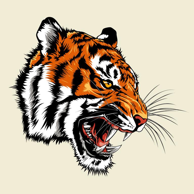 属虎人今日运程每日运势(如何抓住机遇迎接挑战)