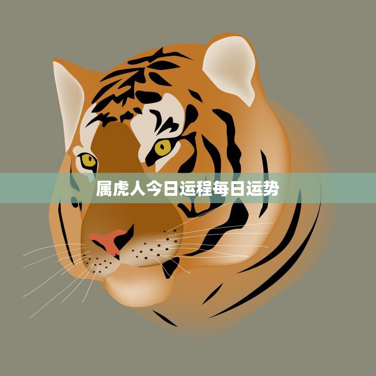 属虎人今日运程每日运势(如何抓住机遇迎接挑战)