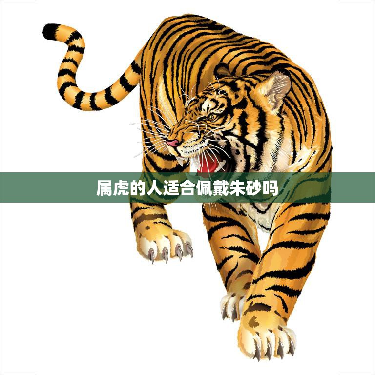 属虎的人适合佩戴朱砂吗(解析朱砂的神秘力量)