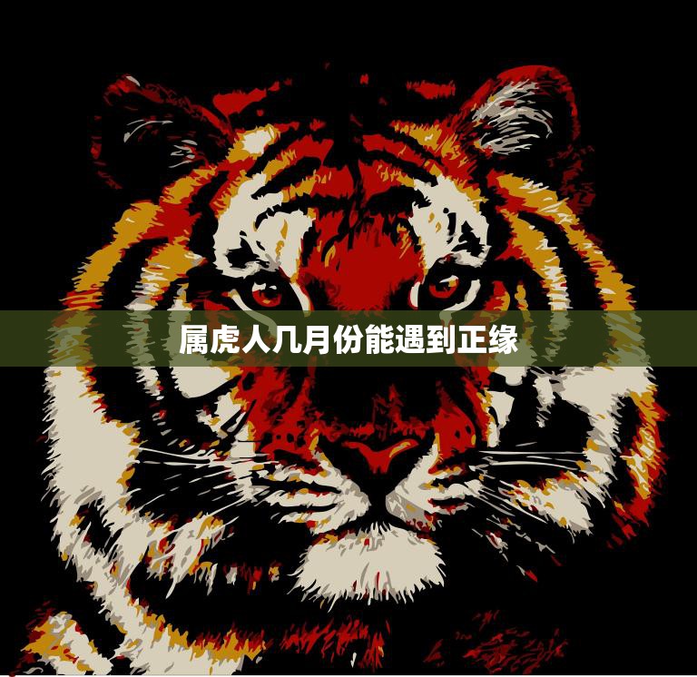 属虎人几月份能遇到正缘(寻找真爱的最佳时机)