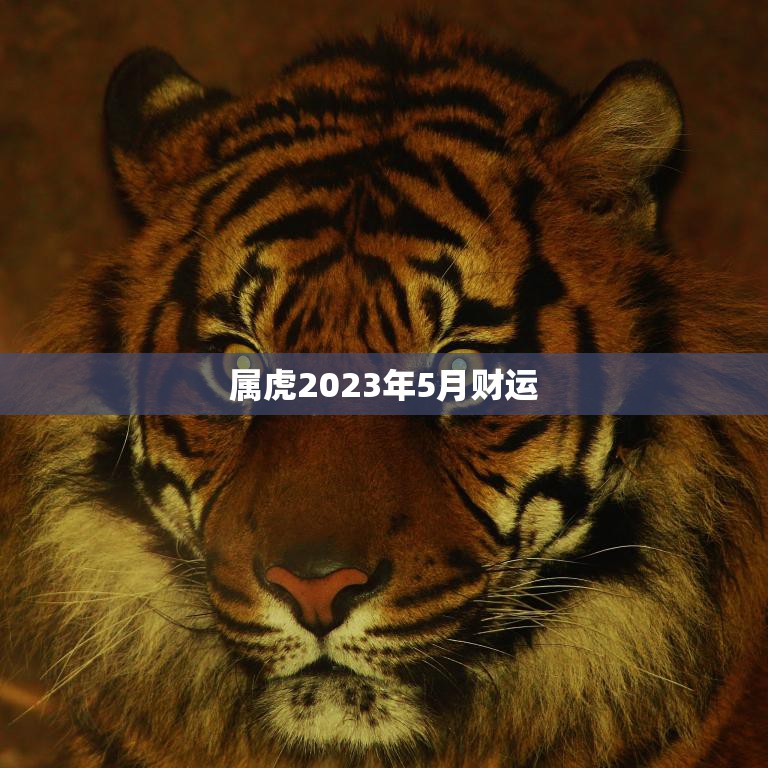 属虎2023年5月财运(财运亨通财源滚滚来)