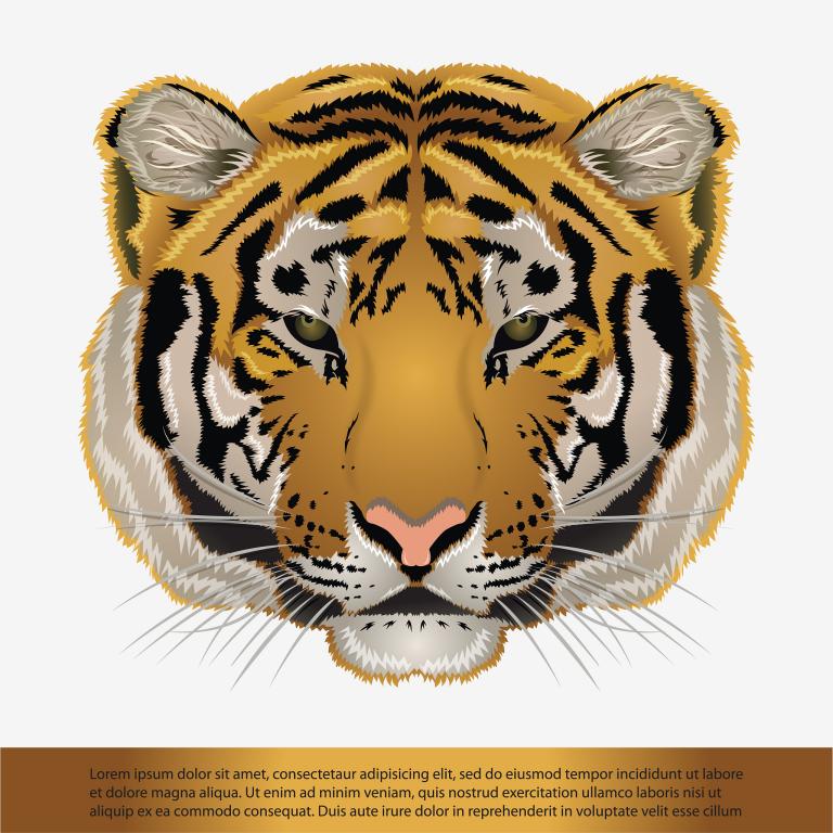 2023虎年运势及运程(顺风顺水财源滚滚事业爆发)