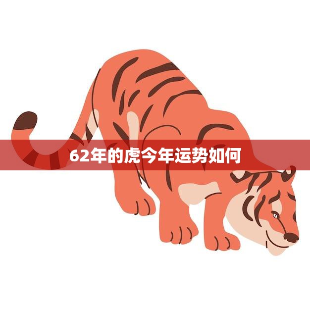 62年的虎今年运势如何(繁华背后需谨慎财运旺盛但需谨防小人)
