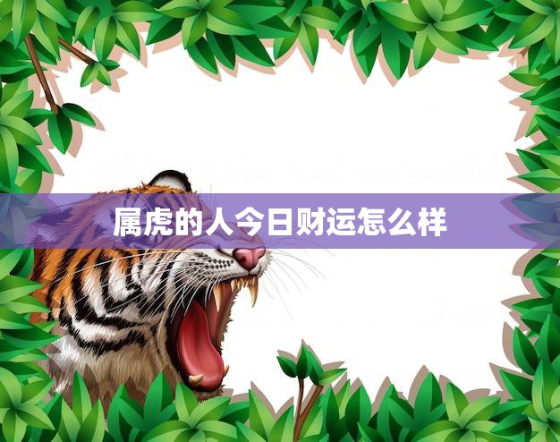 属虎的人今日财运怎么样(财运亨通财源滚滚来)
