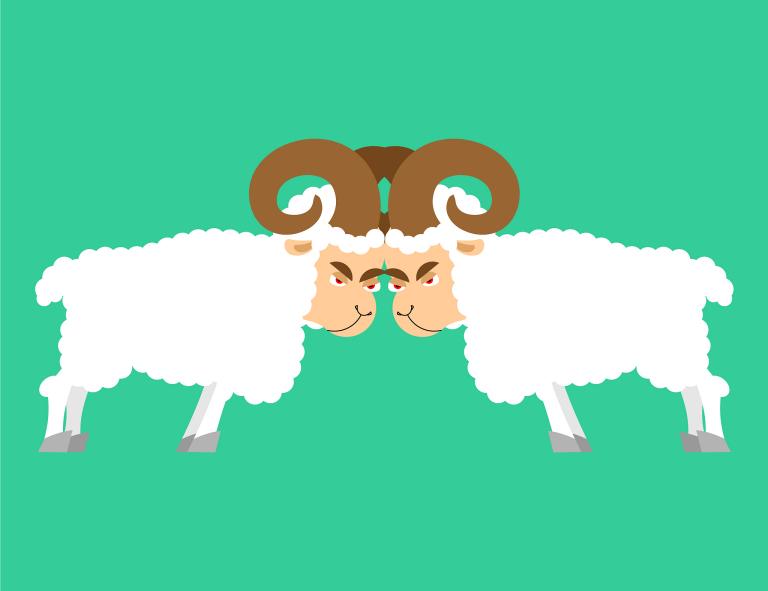 属羊几月出生最好命运女(如何提升命运)