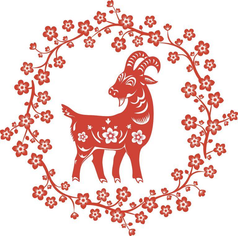 79属羊今年的运势如何(2023年属羊人的运势大揭秘)