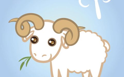 67年属羊今年运势如何(2023年属羊人运势解析)