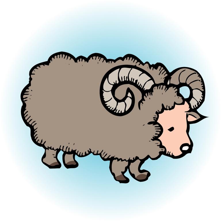 67年属羊今年运势如何(2023年属羊人运势解析)