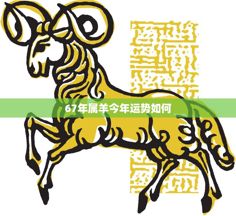 67年属羊今年运势如何(2023年属羊人运势解析)