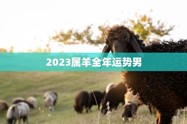 2023属羊全年运势男(财运亨通事业有成)