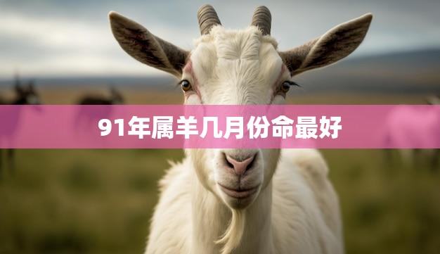 91年属羊几月份命最好(解析属羊人的黄道吉日)