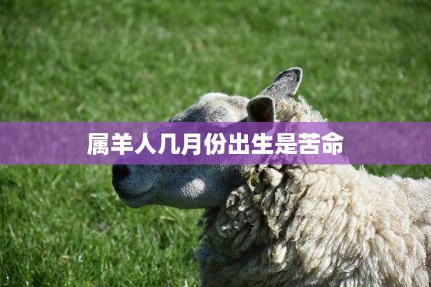 属羊人几月份出生是苦命(揭秘属羊人命运的关键月份)