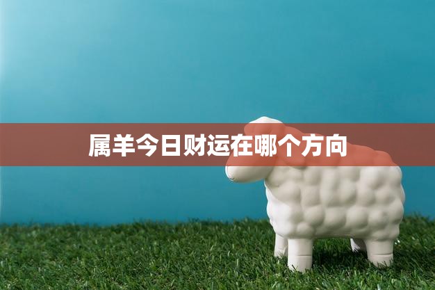属羊今日财运在哪个方向(财富方向指引)