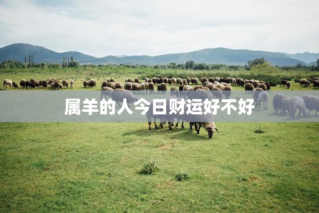 属羊的人今日财运好不好(财神爷眷顾财源滚滚来)