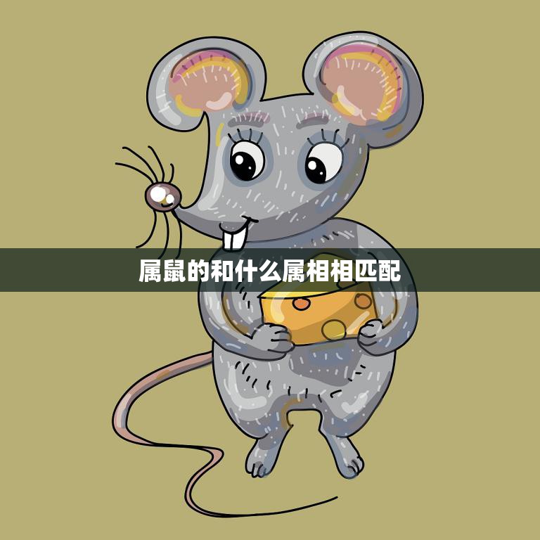属鼠的和什么属相相匹配(最佳配对你知道吗)