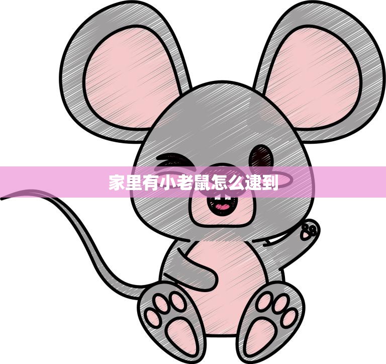家里有小老鼠怎么逮到(快速有效的捕鼠技巧)