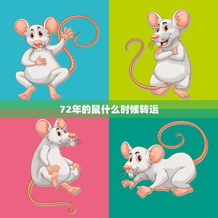 72年的鼠什么时候转运(2023年运势大揭秘)