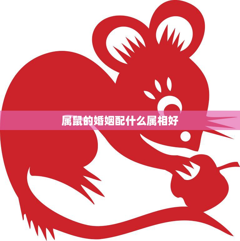 属鼠的婚姻配什么属相好(如何选择最佳婚姻伴侣)